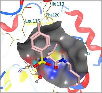 Biological Activity Evaluation of Some New Benzenesulphonamide Derivatives